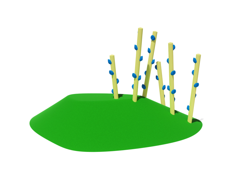 Mesa 16 w/ Treetop Traverse