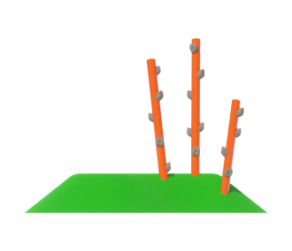 Dune 11 w/ Treetop Traverse