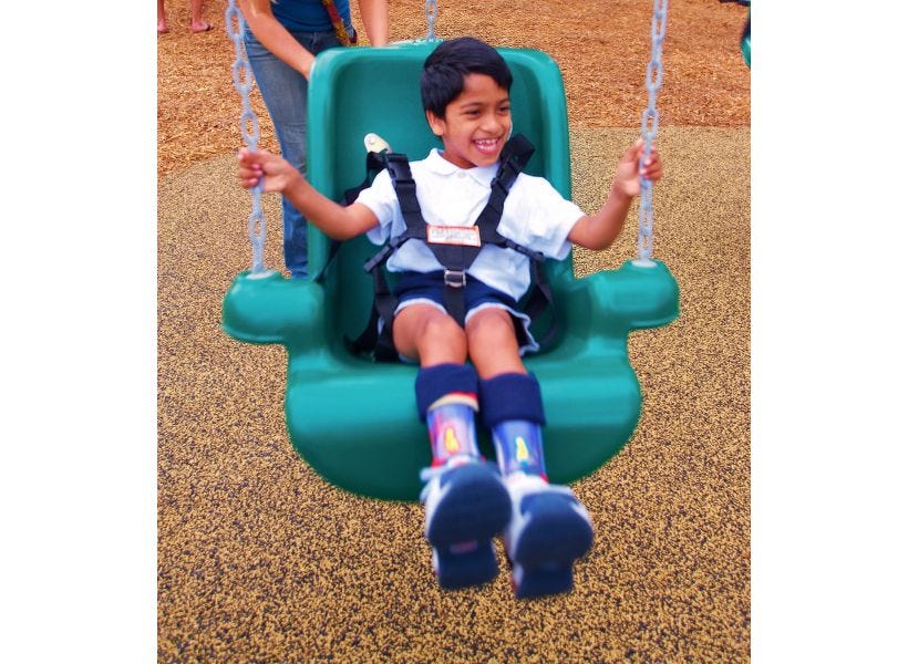 Lifetime Adventure Tower w/ Spider Swing - Earthtone (91201)