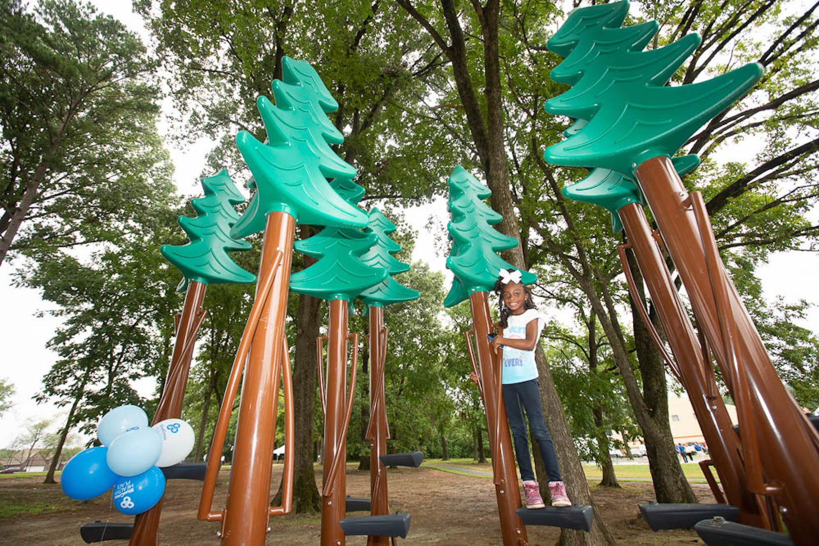 BlueCross Healthy Place at David Carnes Park