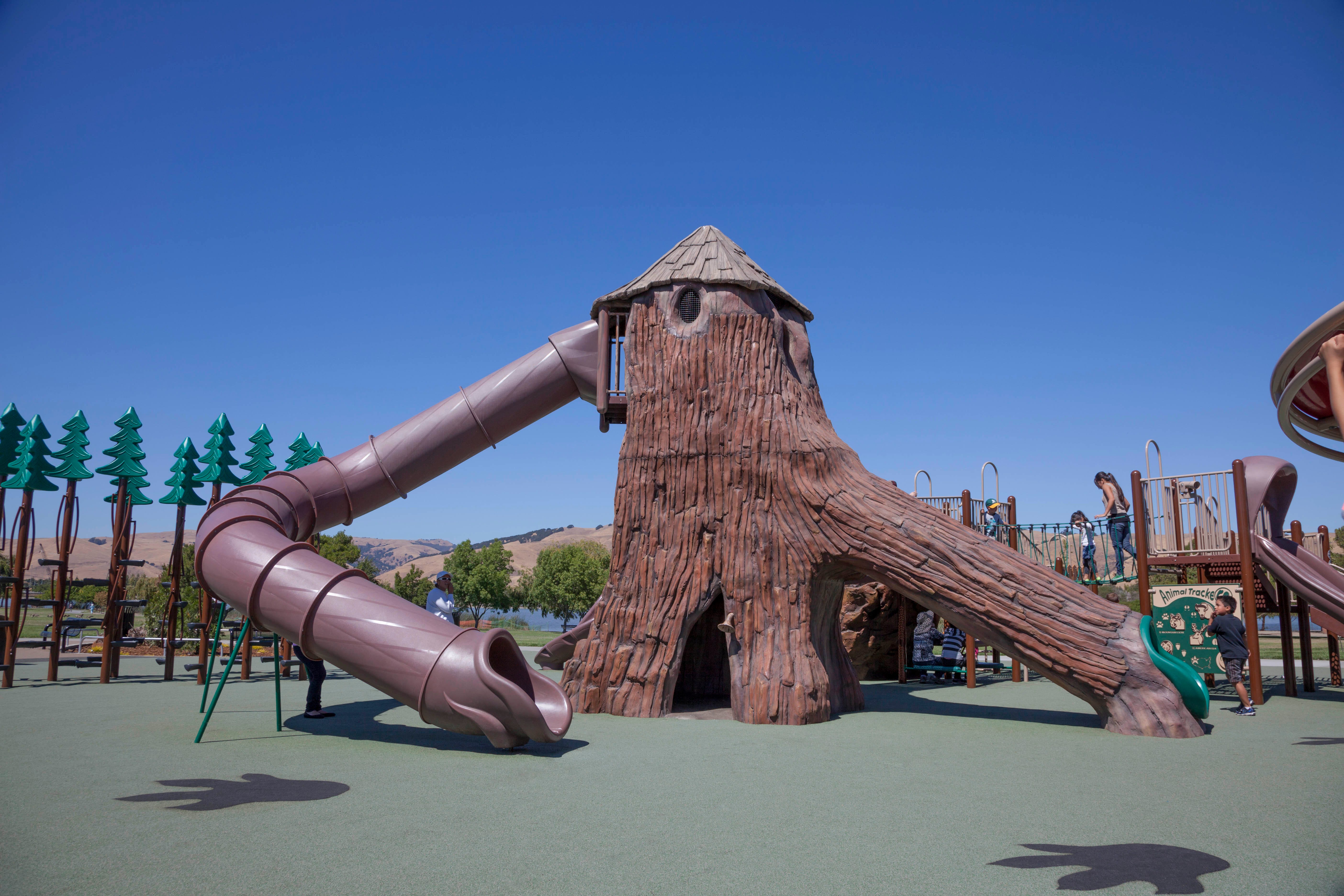 Central Park - Fremont, CA