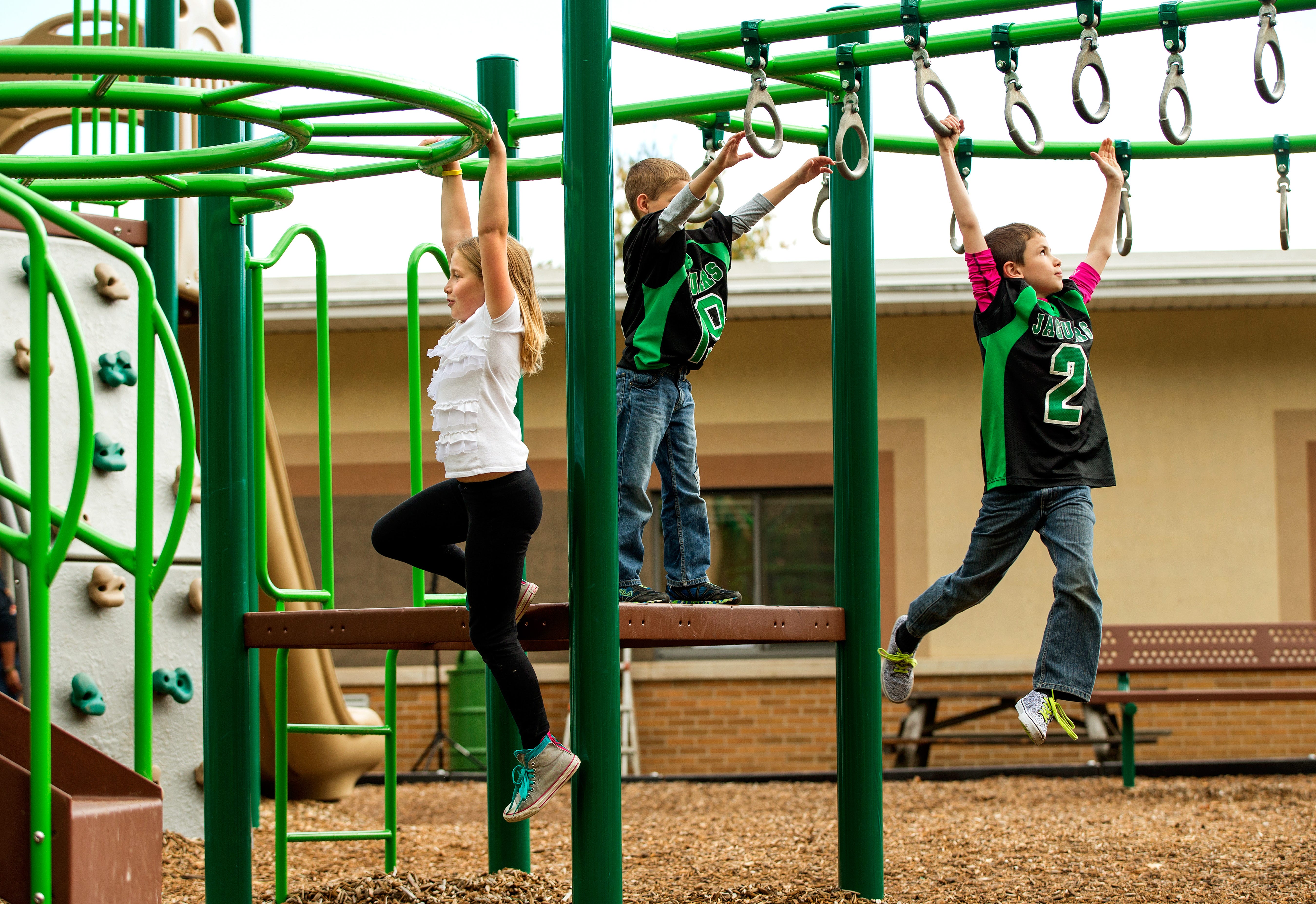 Collins Elementary School - MI