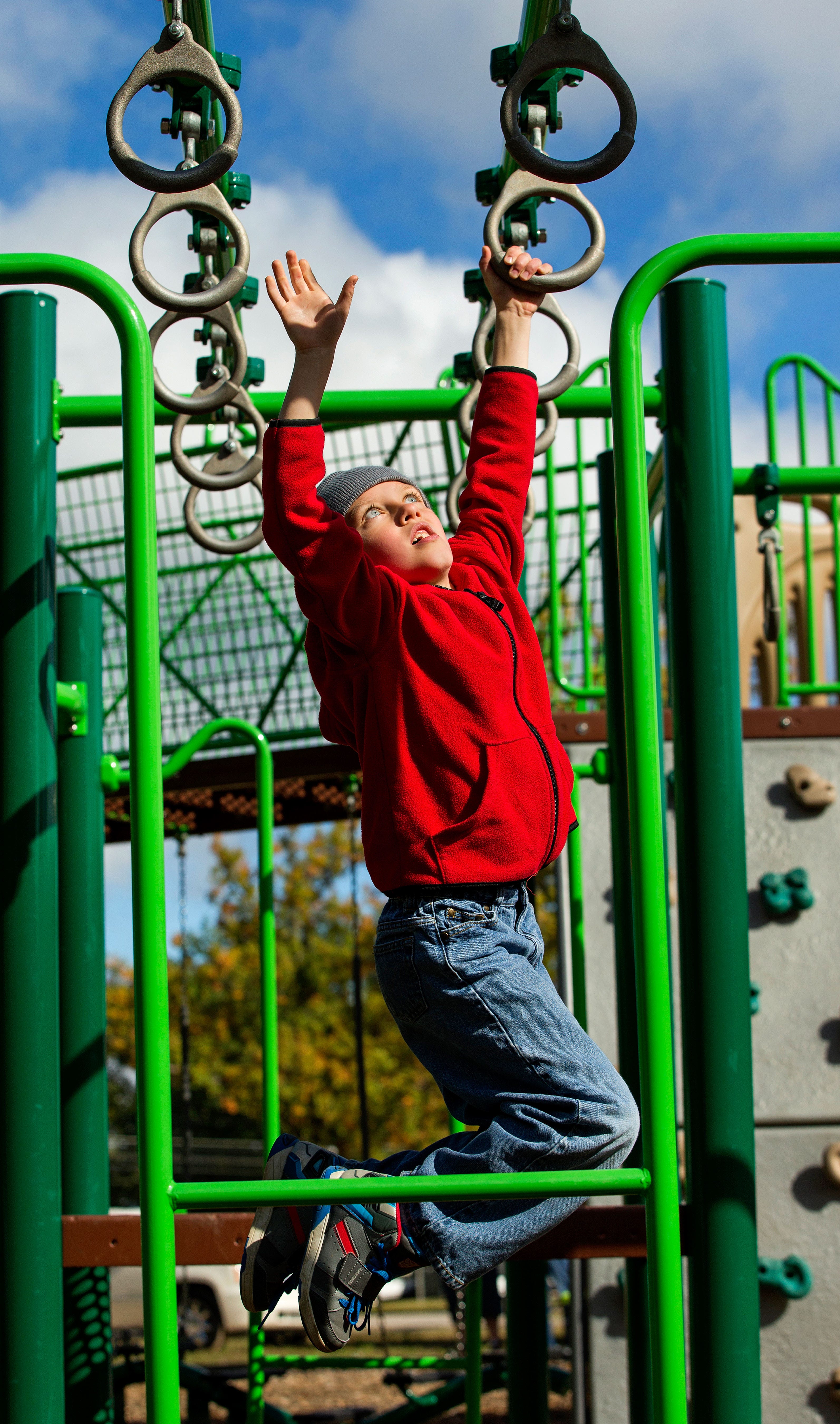 Collins Elementary School - MI