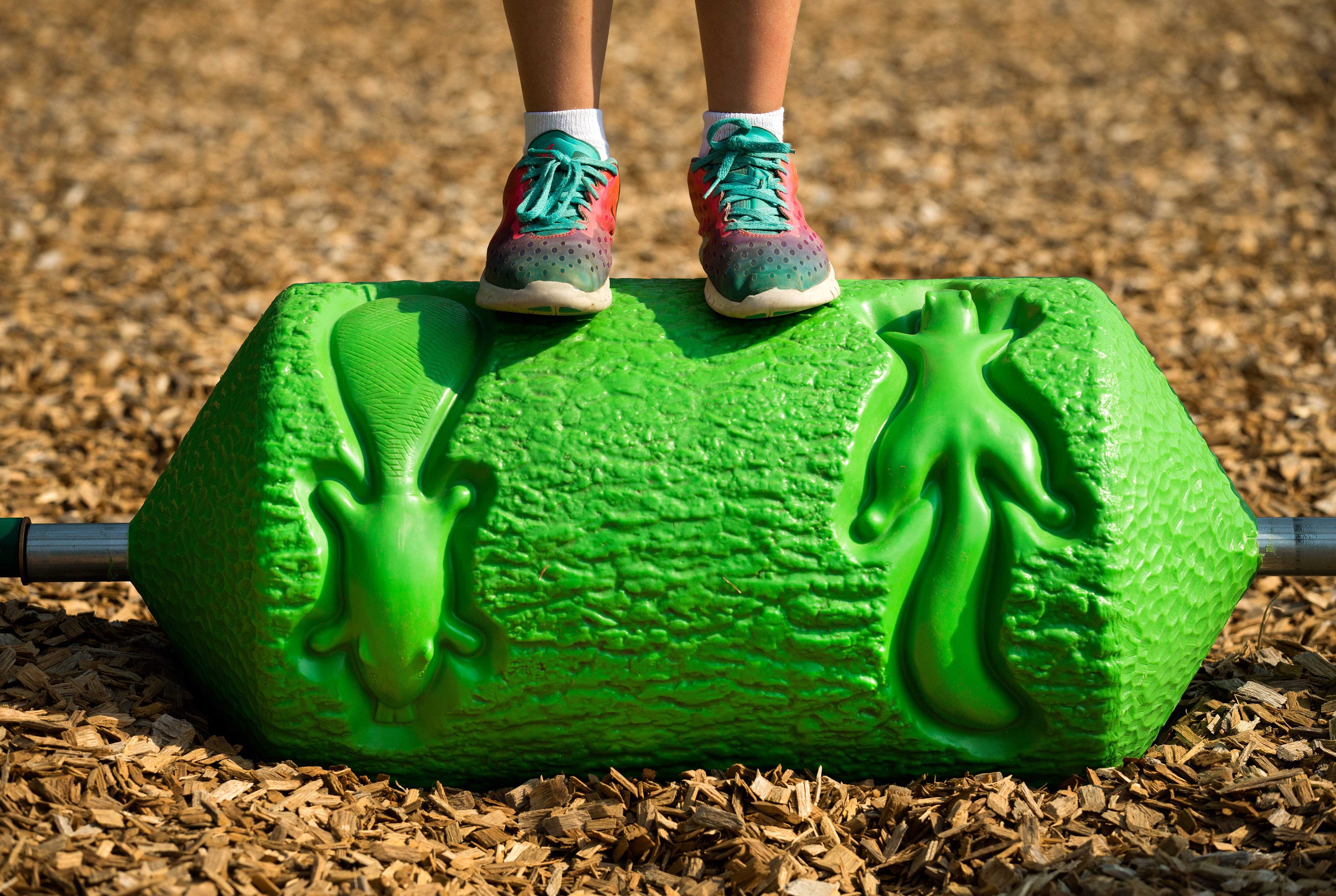 Darlington School - Rome, GA