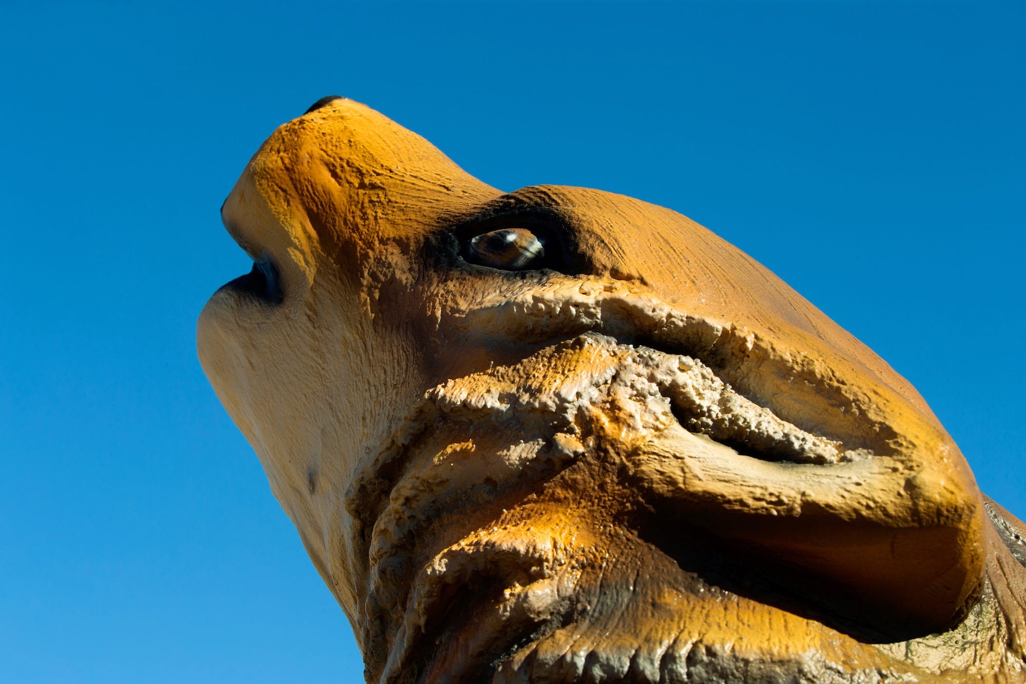 Estella Park-Arizona
