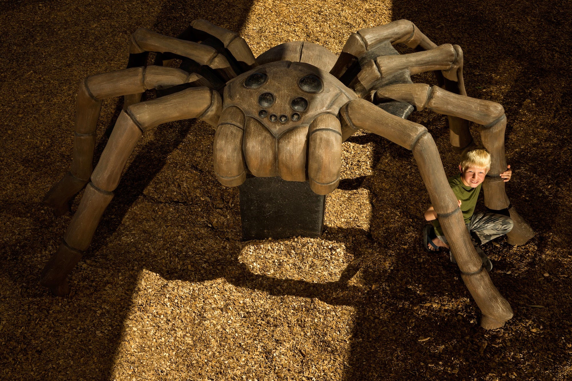 Estella Park-Arizona