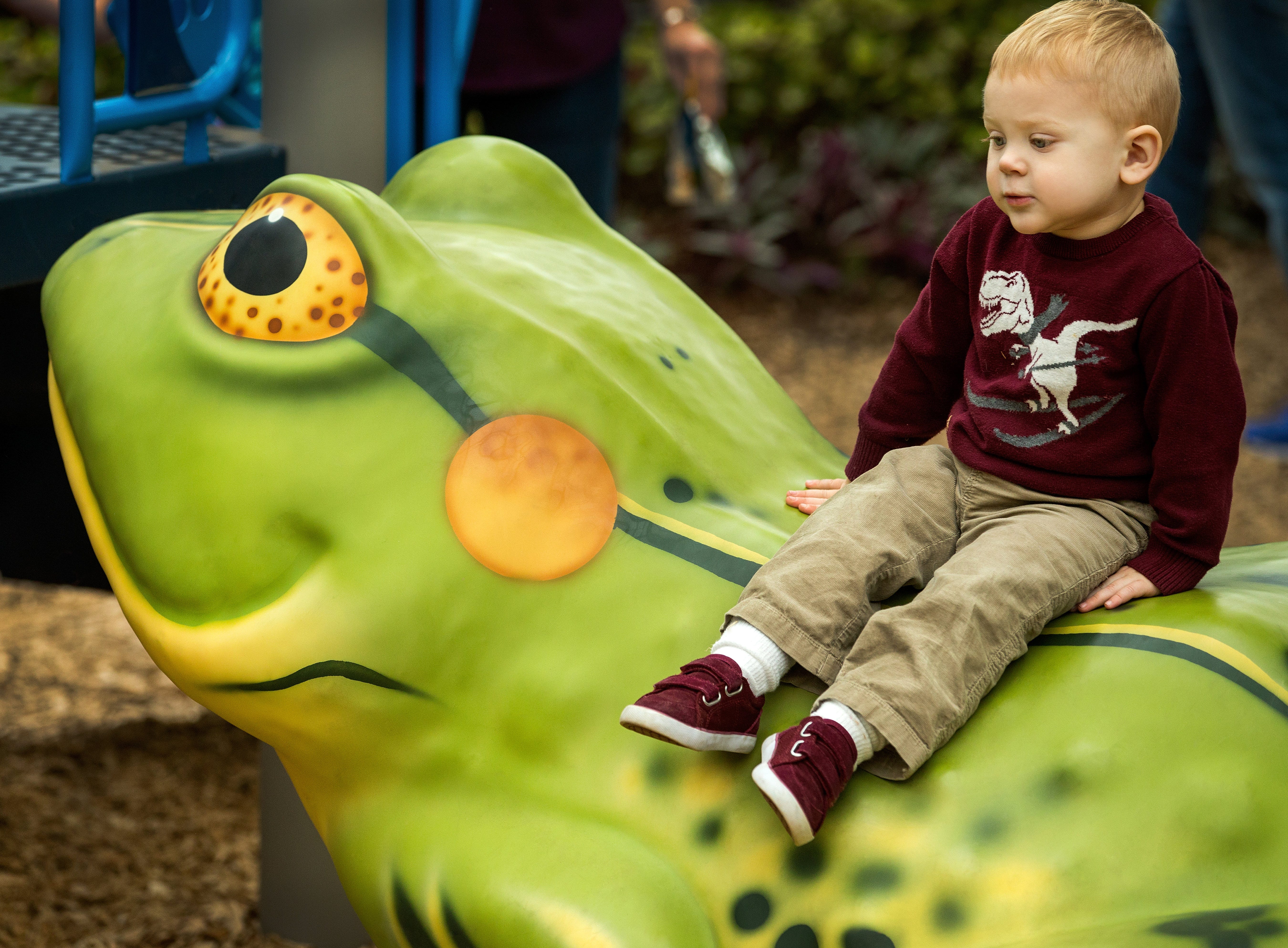 Botanical Conservatory
