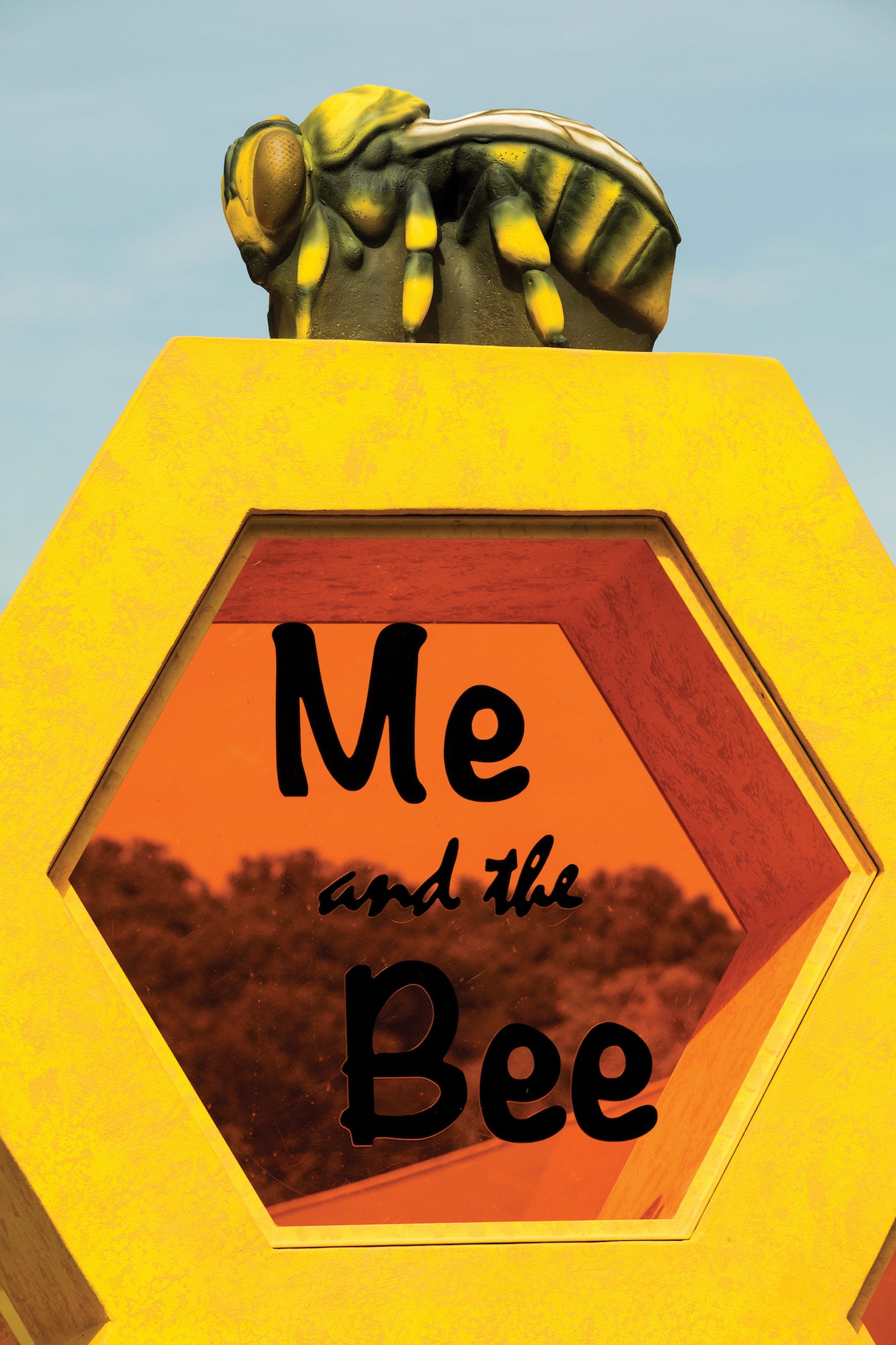 Bee-Themed Playground