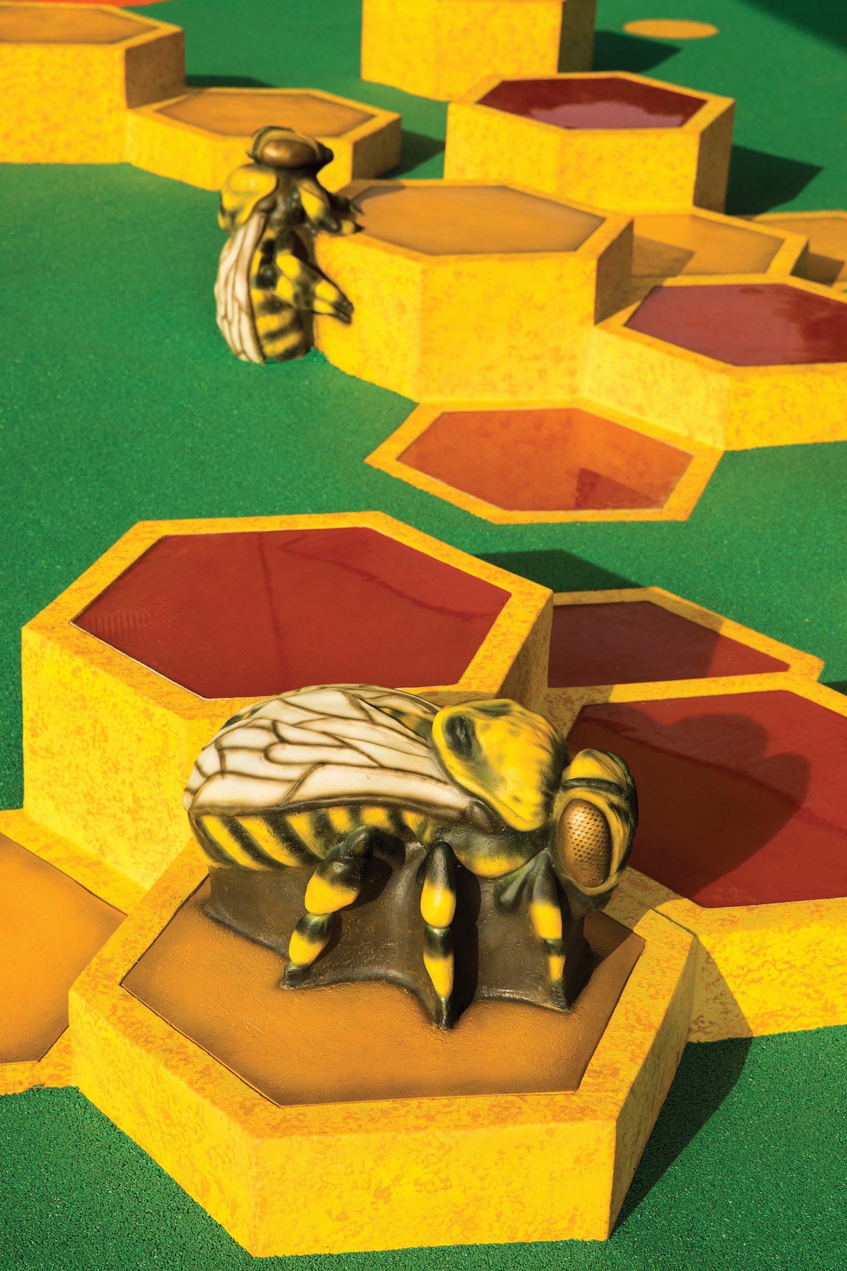 Bee-Themed Playground