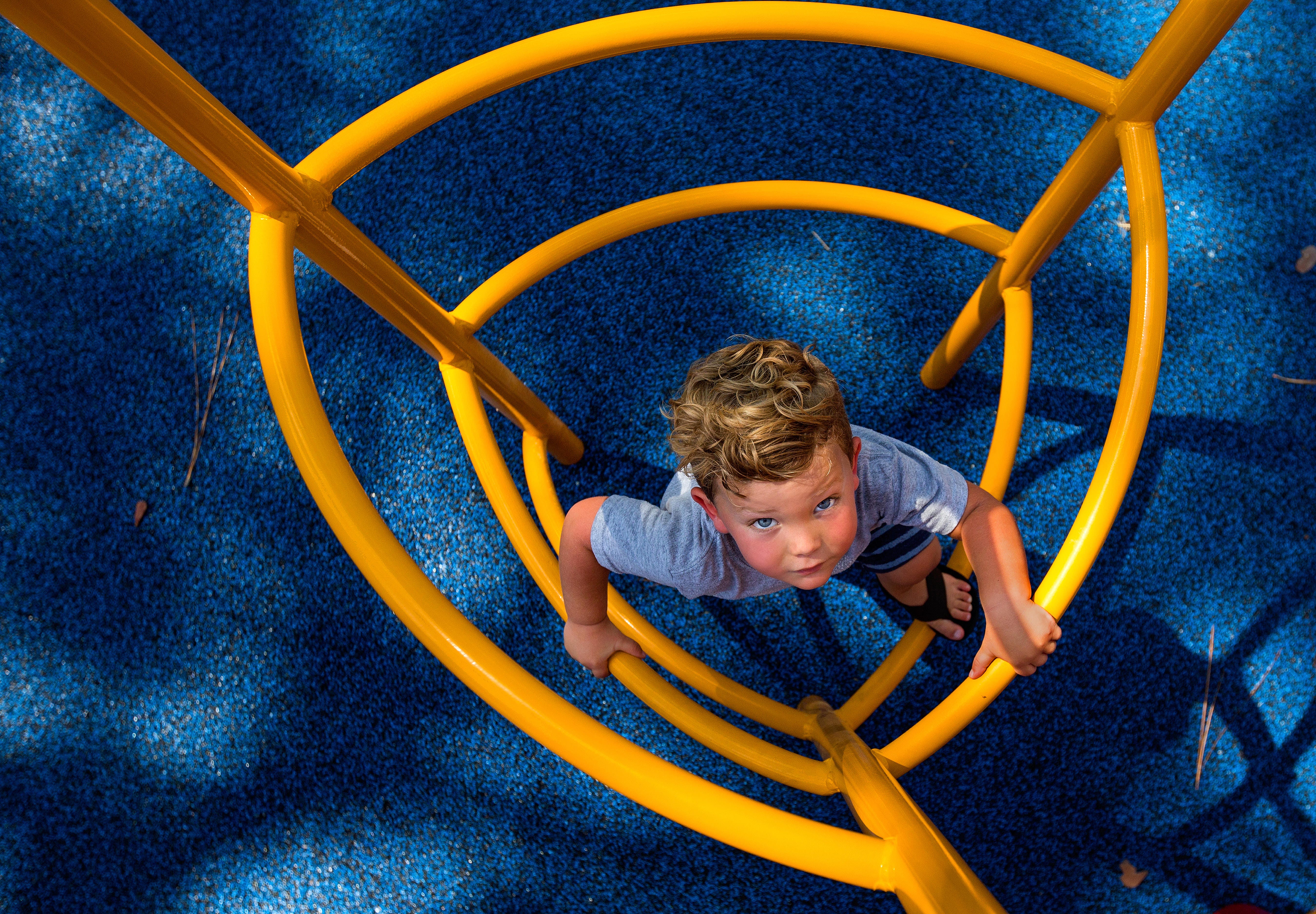 Long Leaf Park - Wilmington, NC