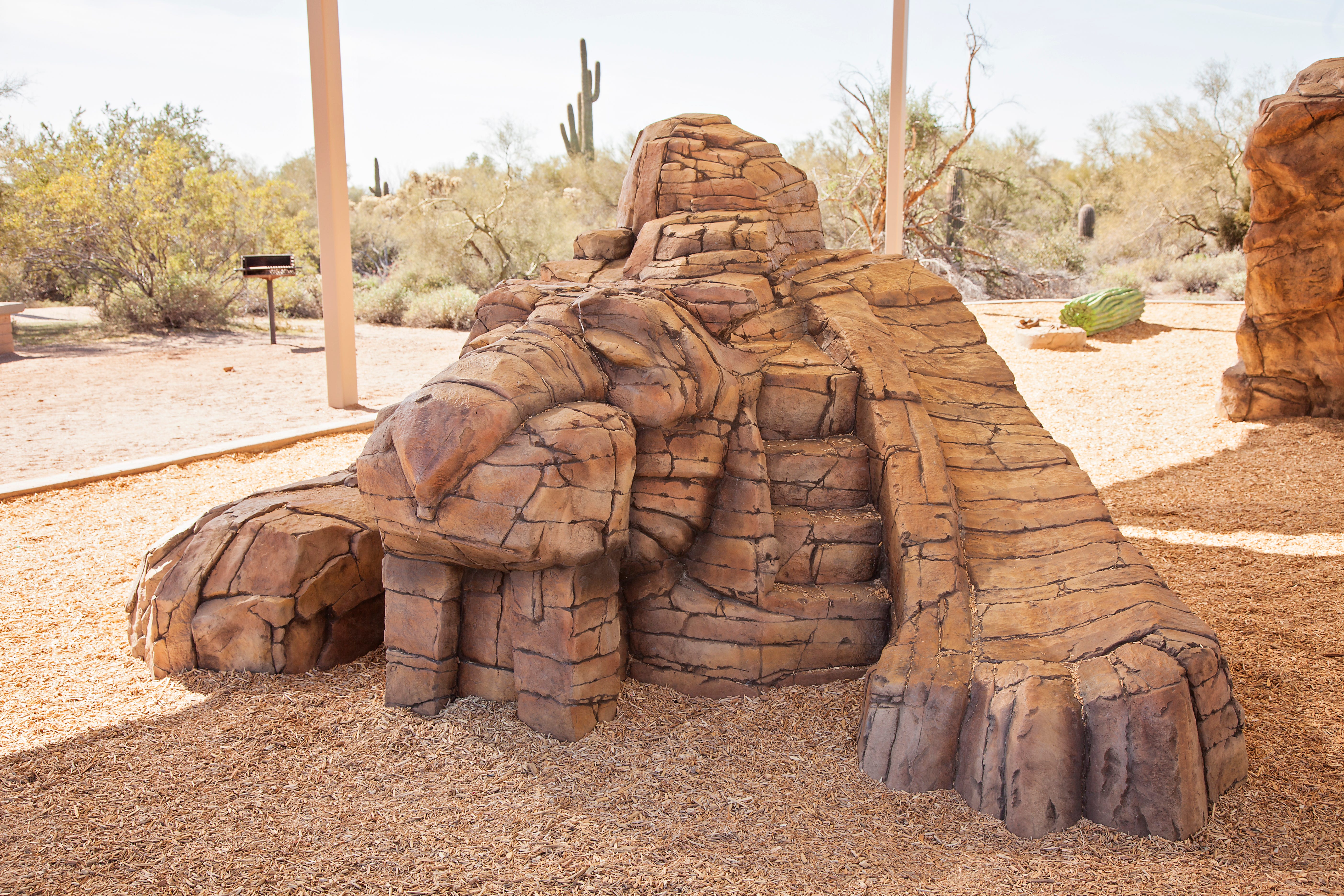 McDowell Mountain Park - Fort McDowell, AZ