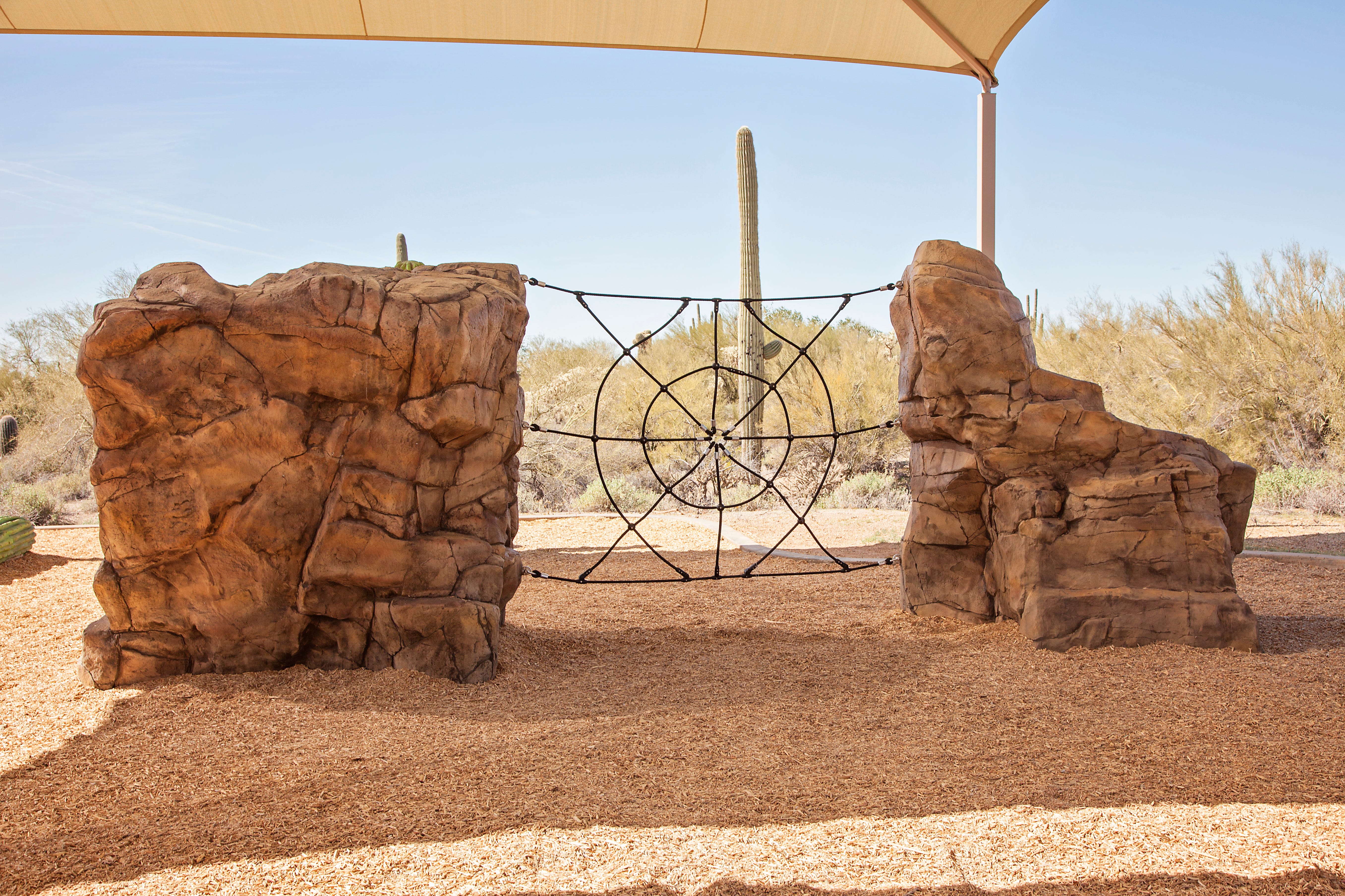 McDowell Mountain Park - Fort McDowell, AZ