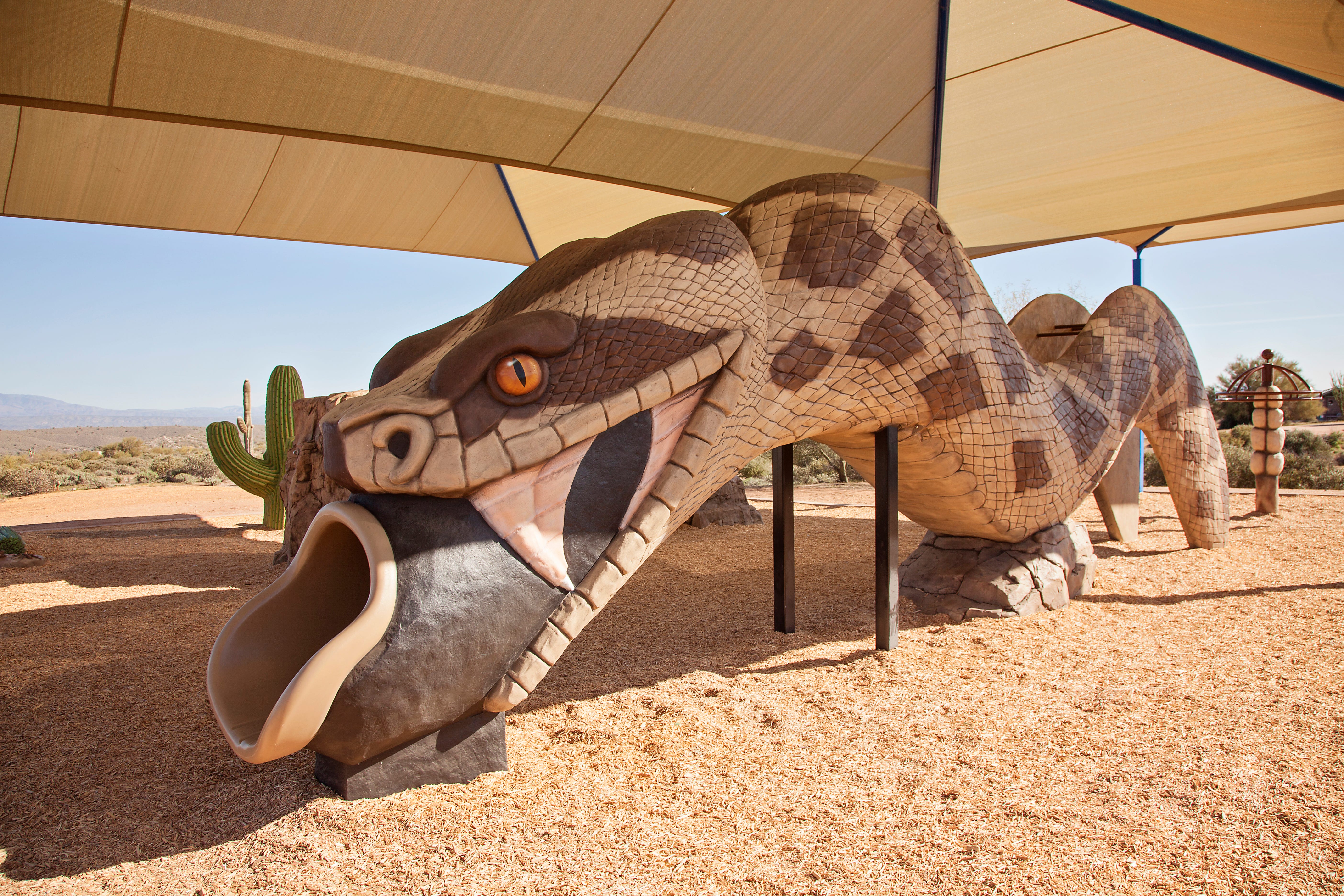 McDowell Mountain Park - Fort McDowell, AZ