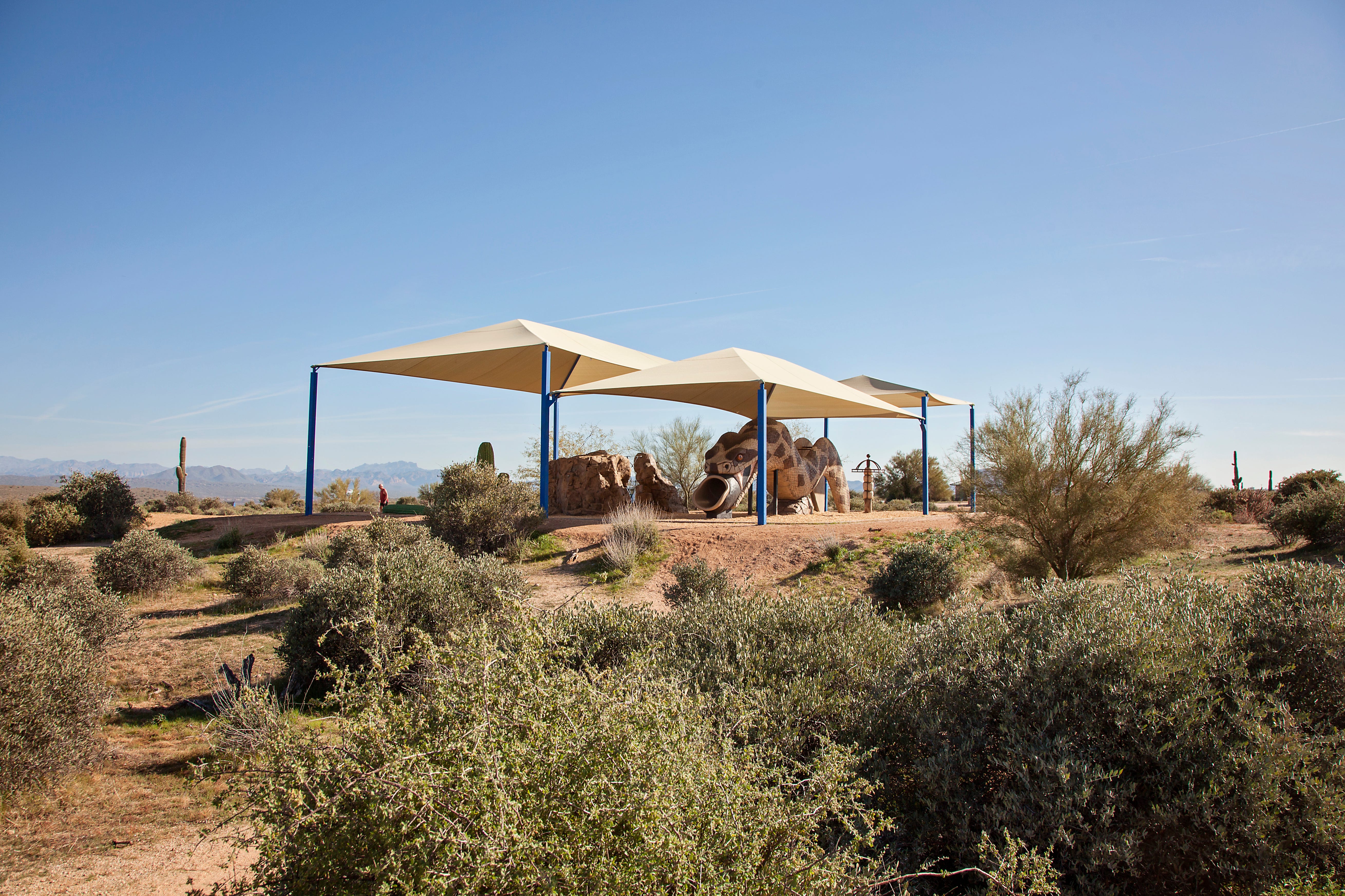 McDowell Mountain Park - Fort McDowell, AZ