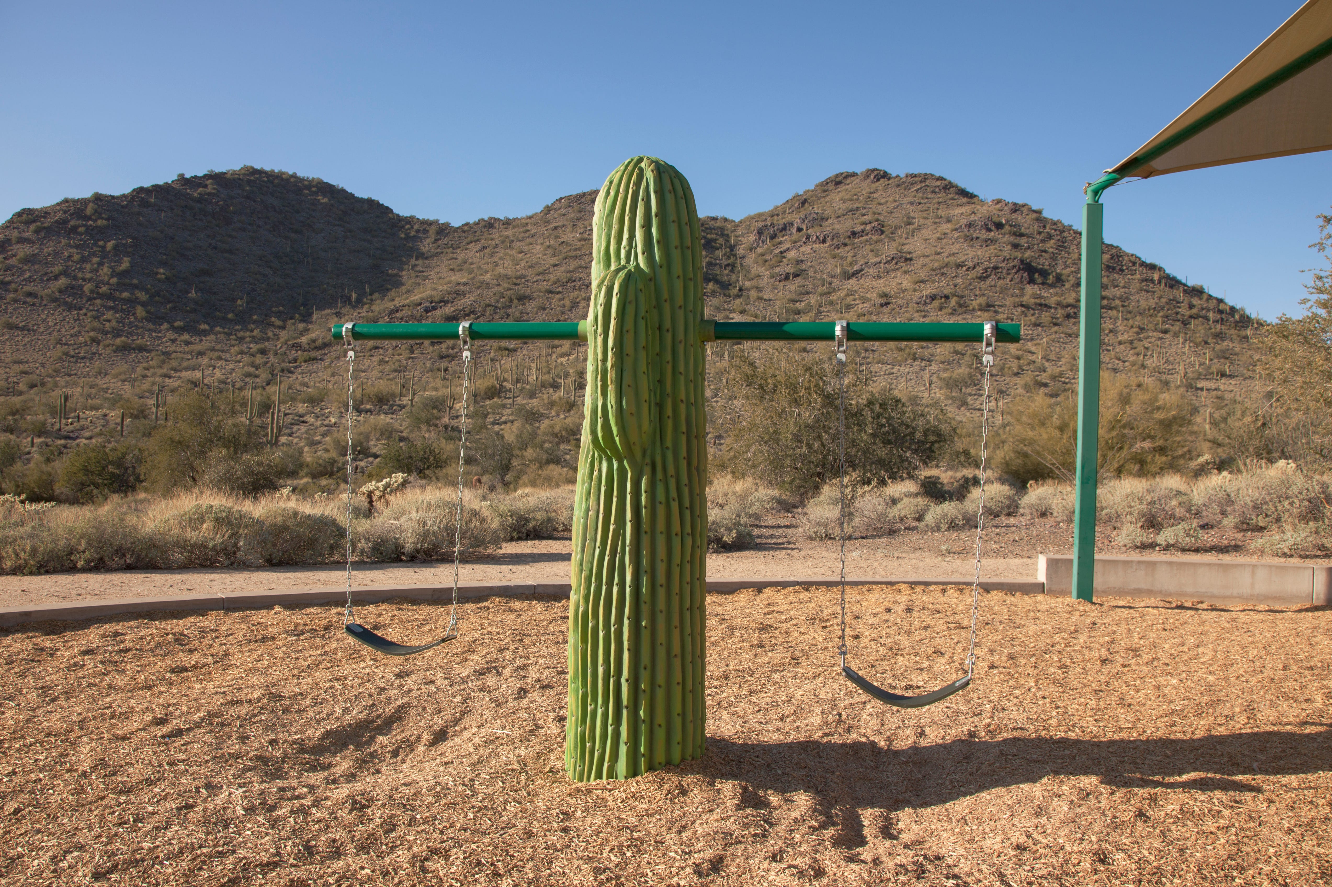 McDowell Mountain Park - Fort McDowell, AZ
