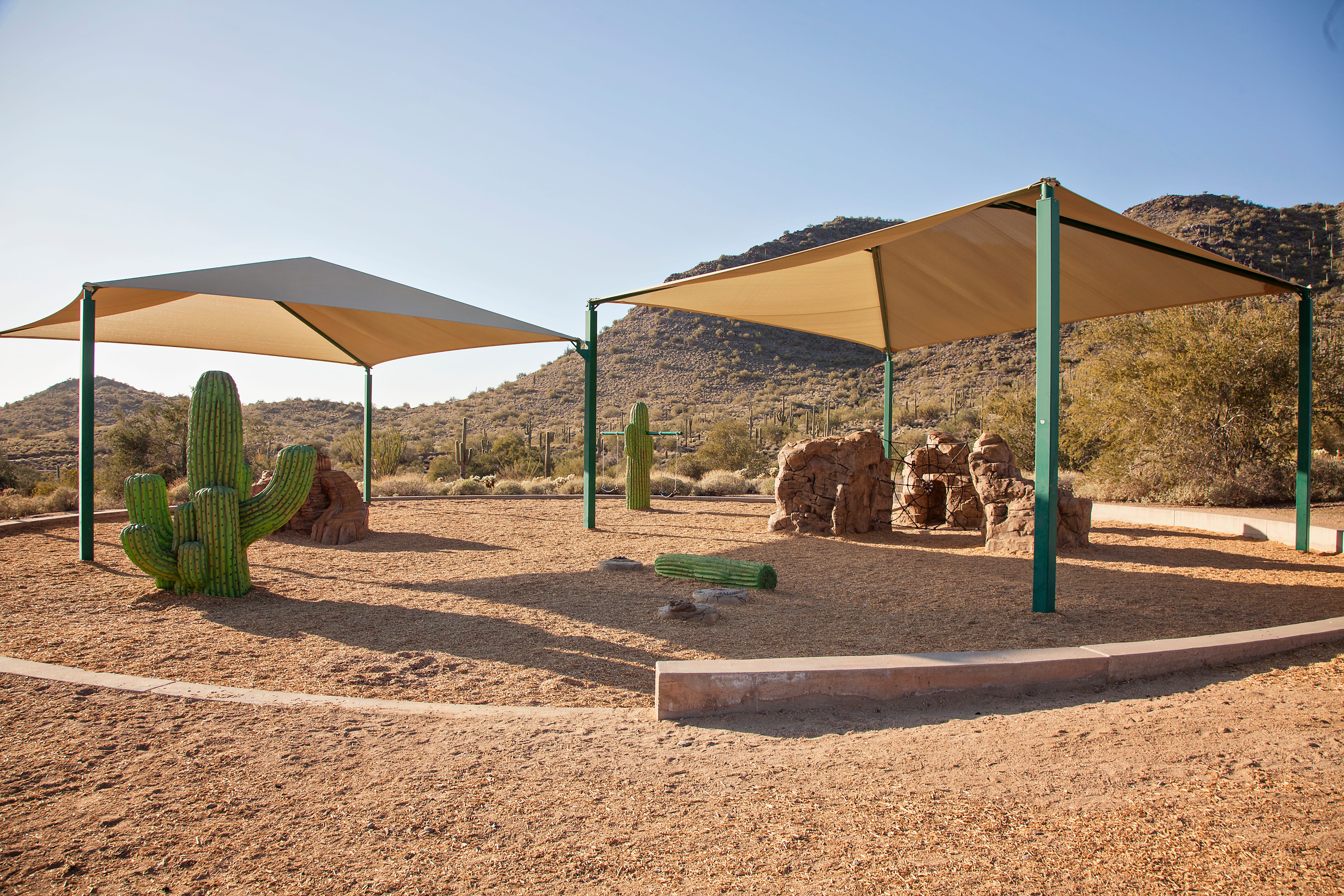 McDowell Mountain Park - Fort McDowell, AZ