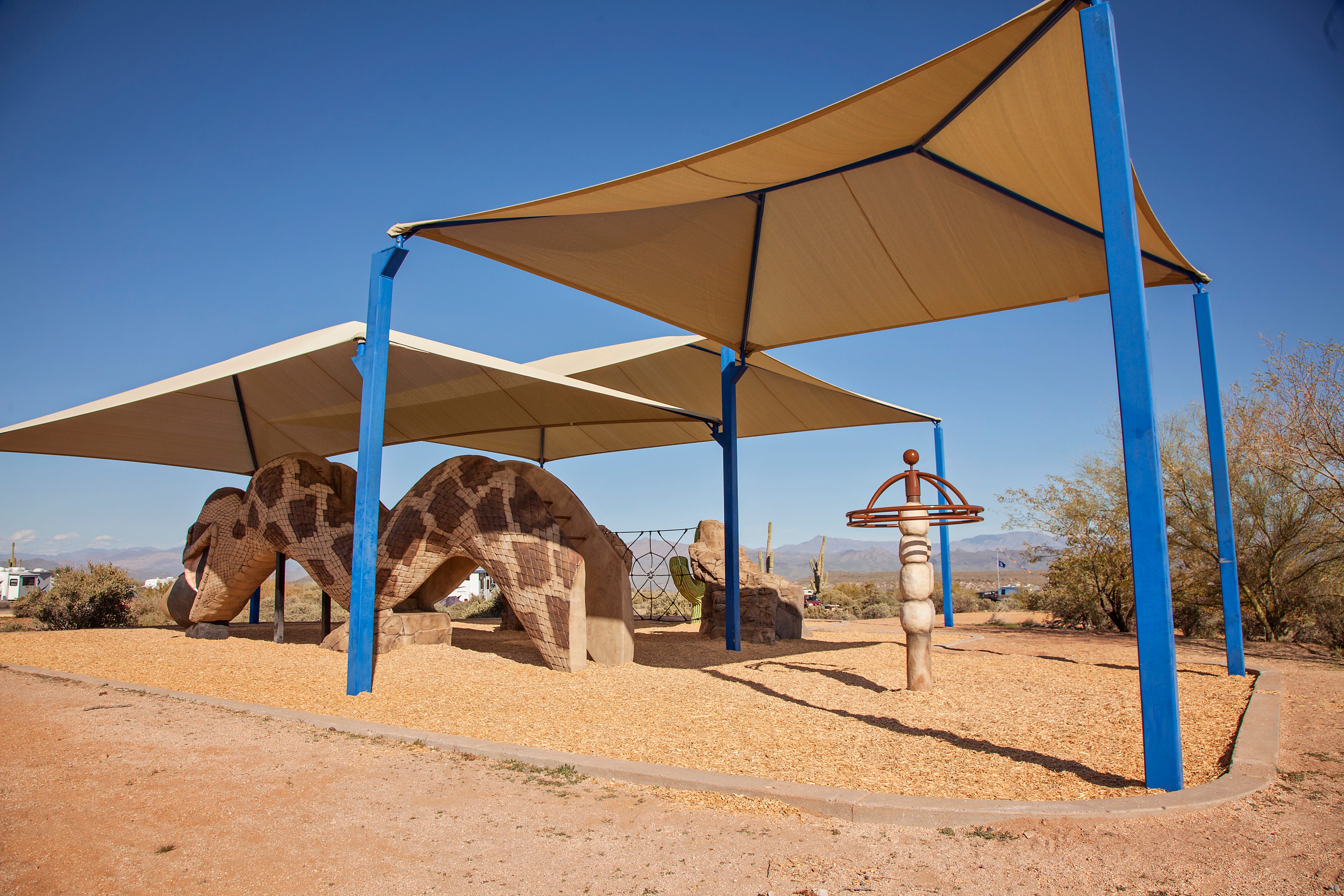 McDowell Mountain Park - Fort McDowell, AZ