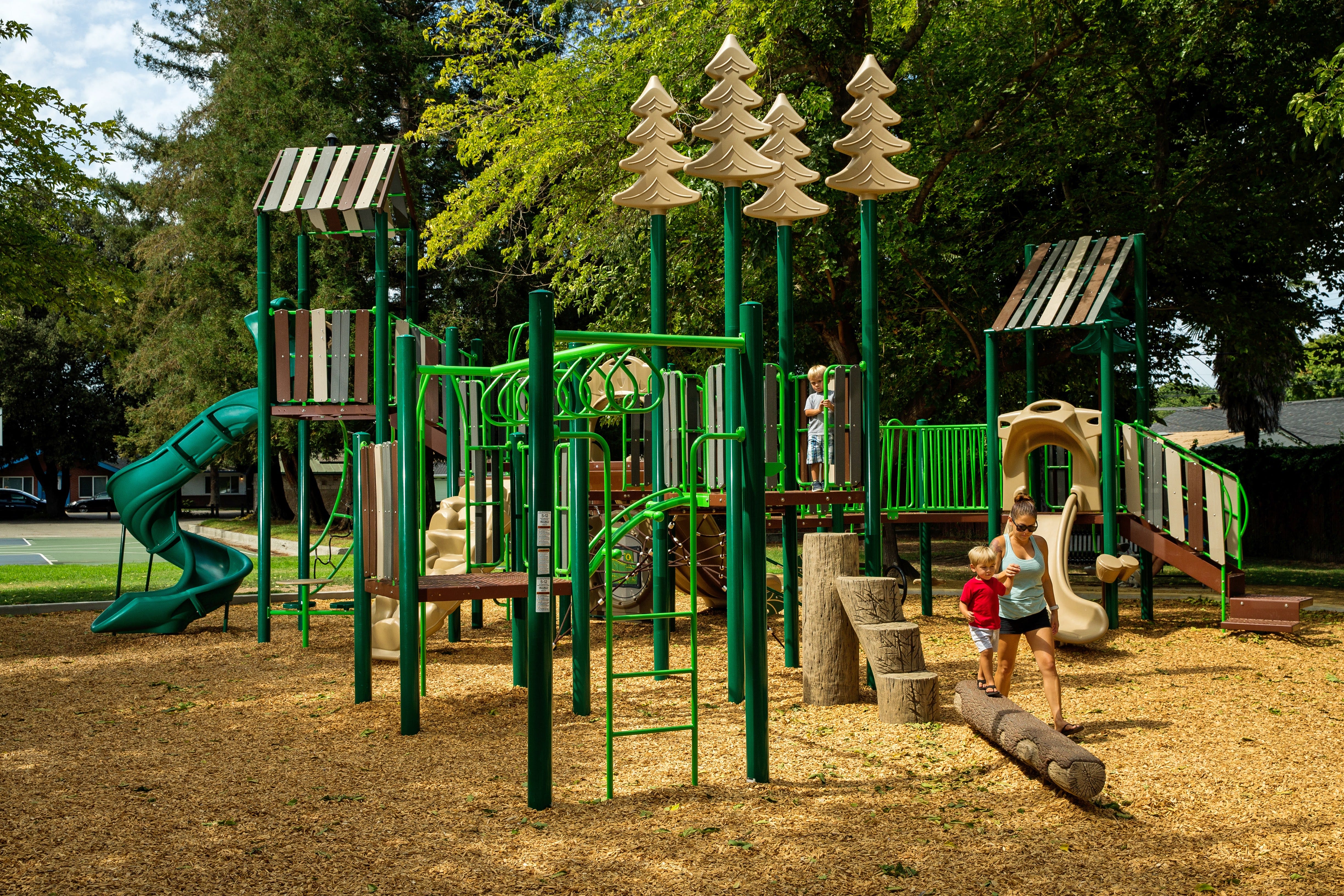 Steve Carli Park in Santa Clara, CA