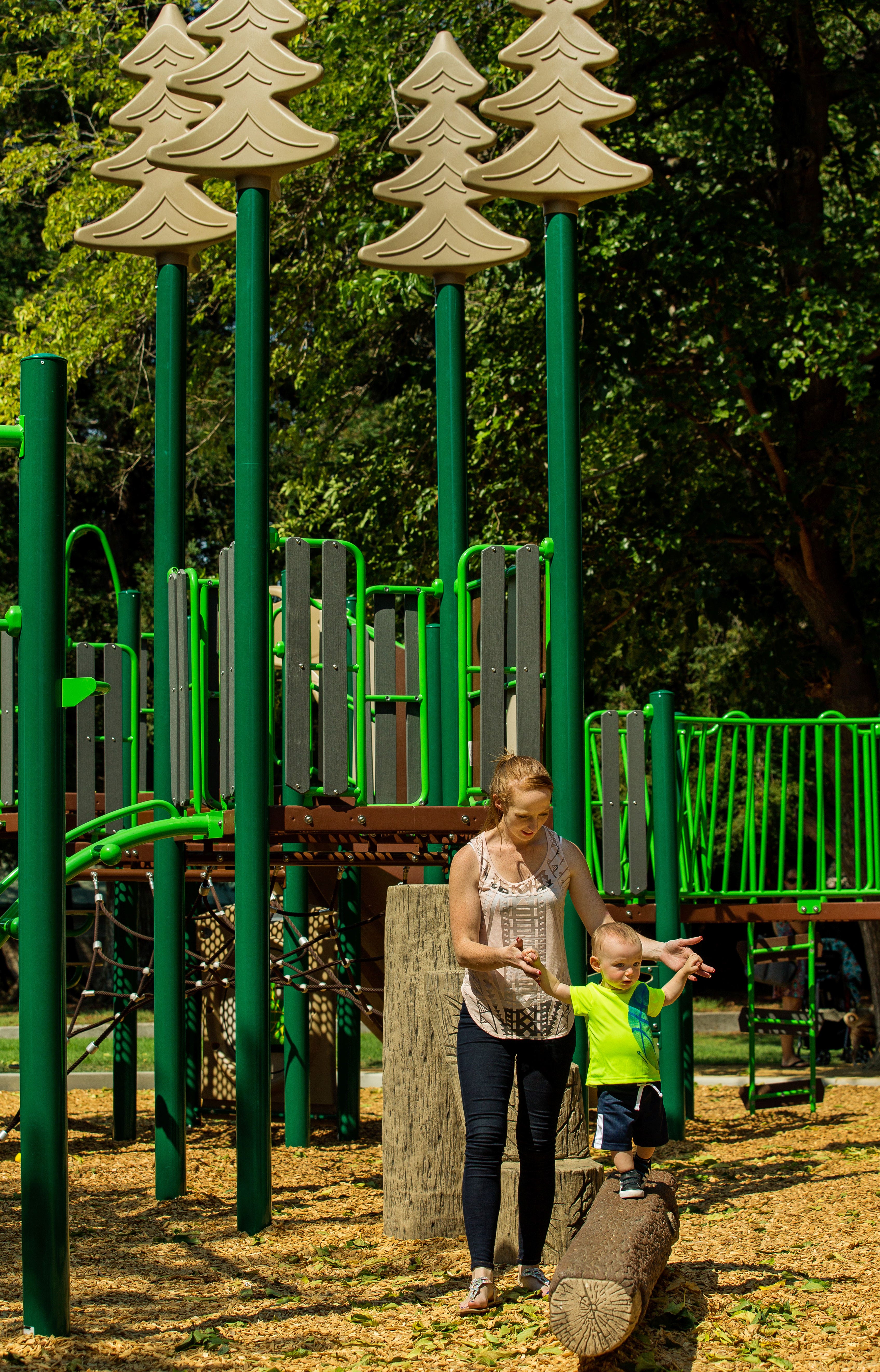 Steve Carli Park in Santa Clara, CA