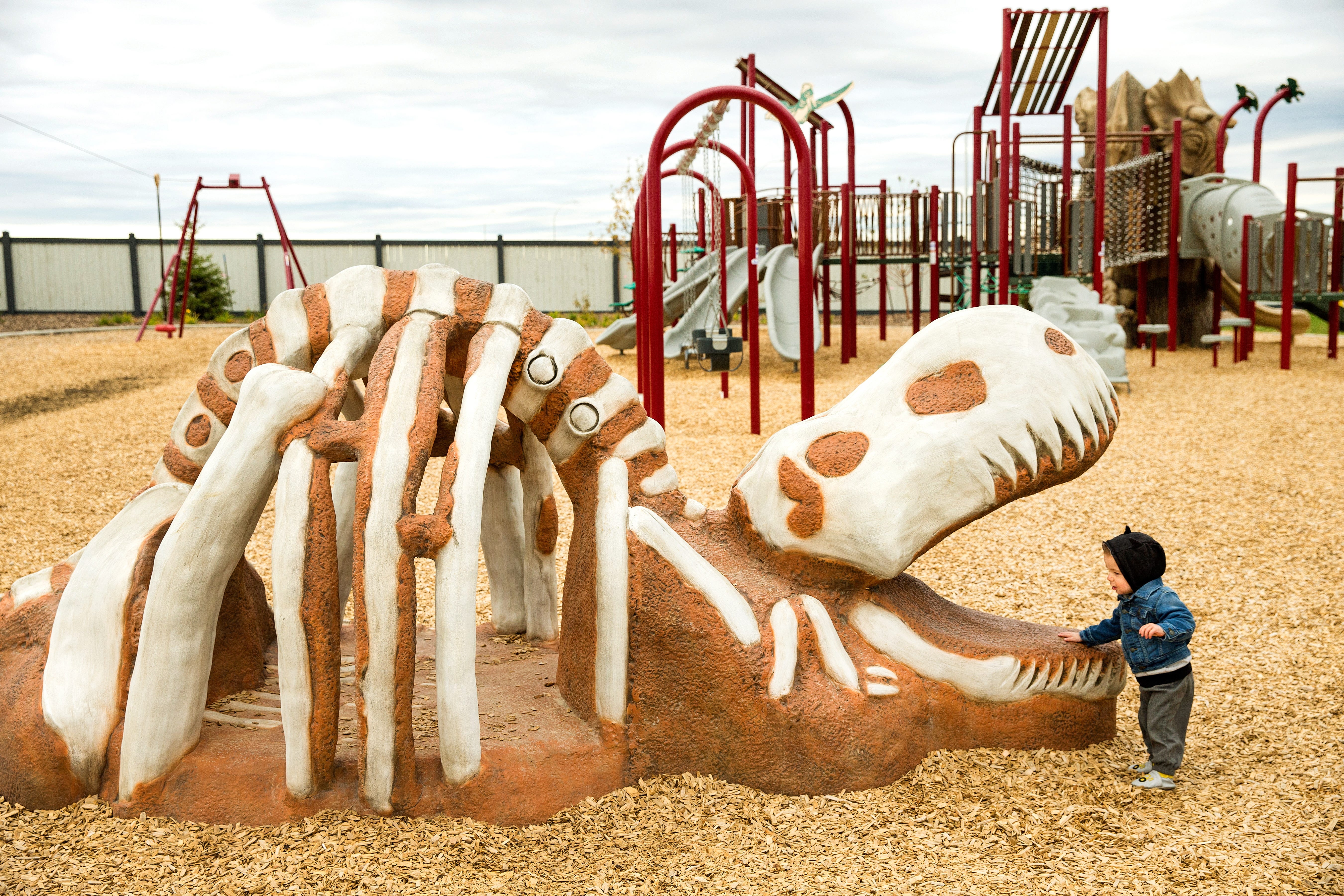 Meadowview Dinosaur Park - Edmonton, CAN