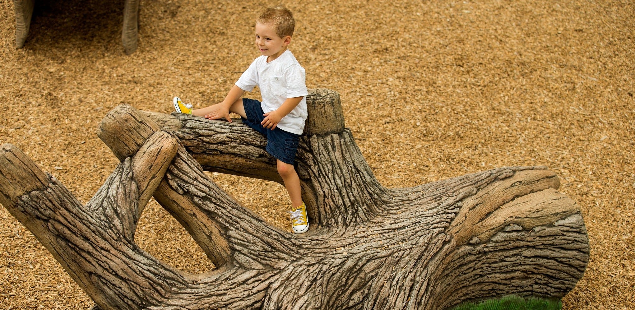 Playground Spotlight: Crooked Creek Park