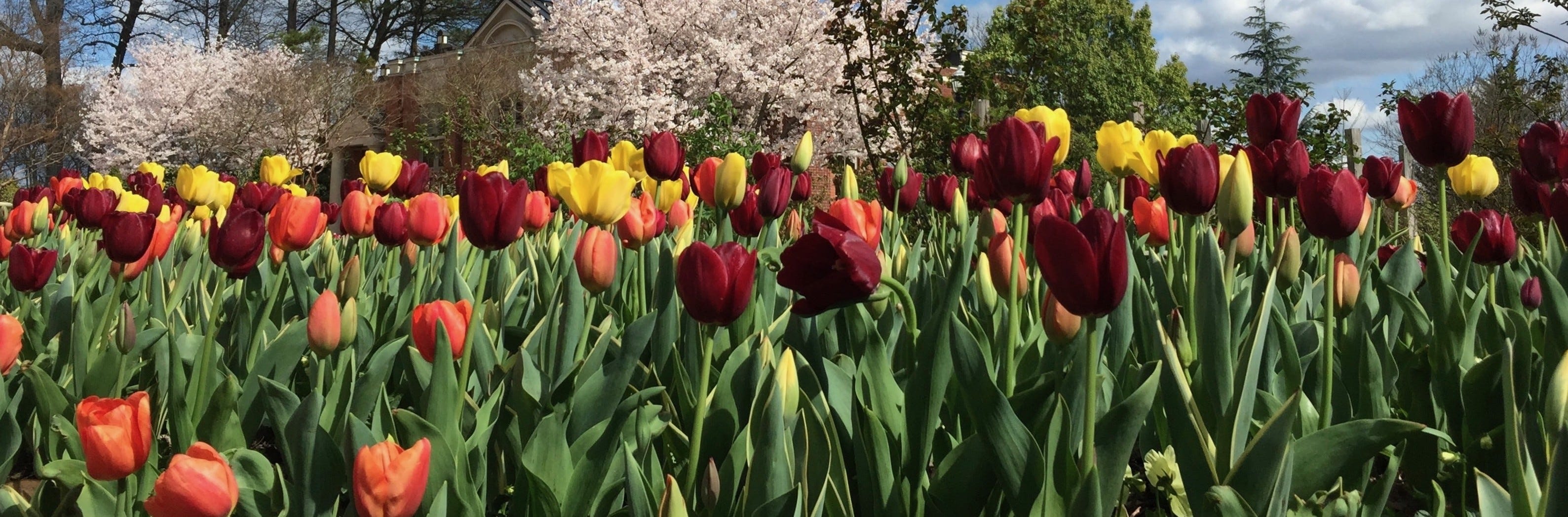 GameTime Celebrates Park Pride