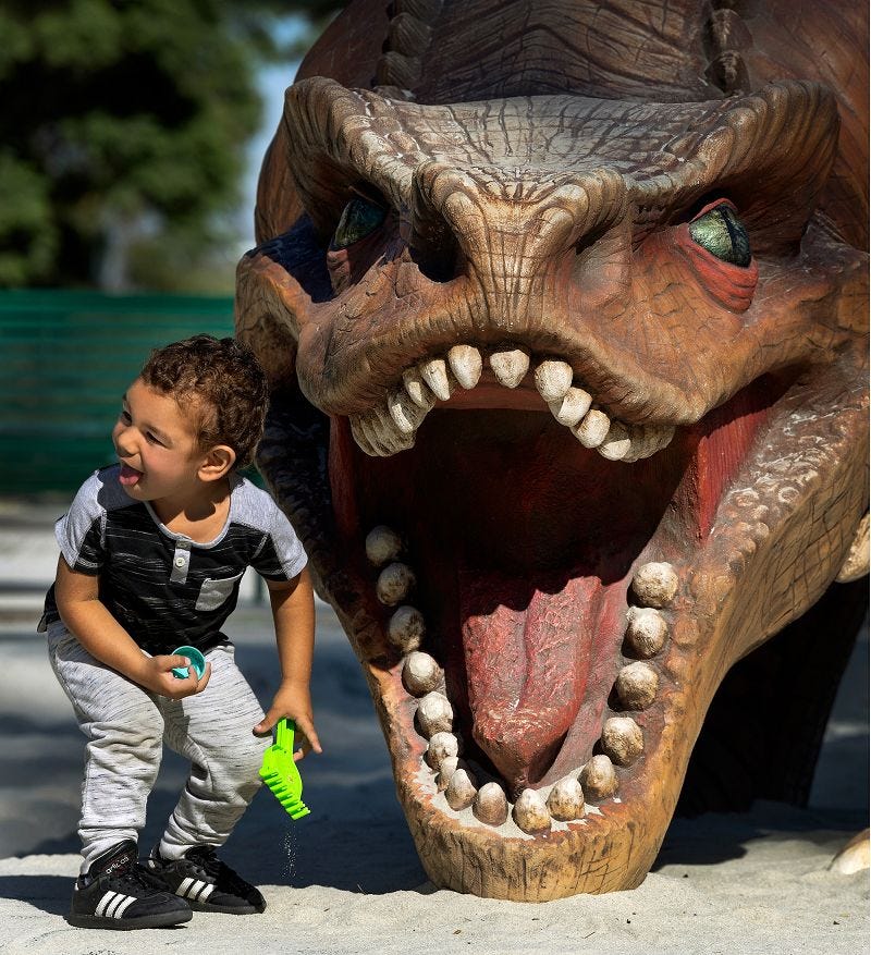 Custom dinosaur playground by GameTime