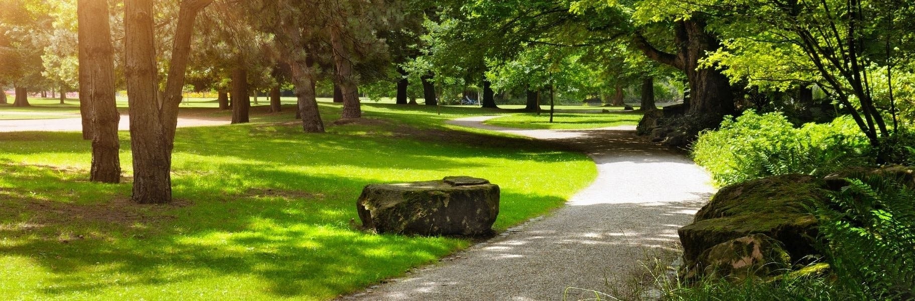 GameTime Named Platinum Sponsor of 2020 NRPA Virtual Expo