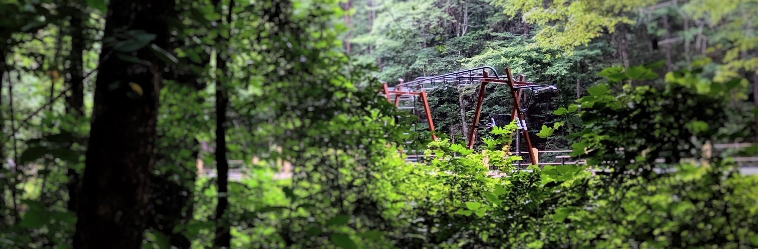 THRIVE is a Natural Fit for Tennessee Nature Park