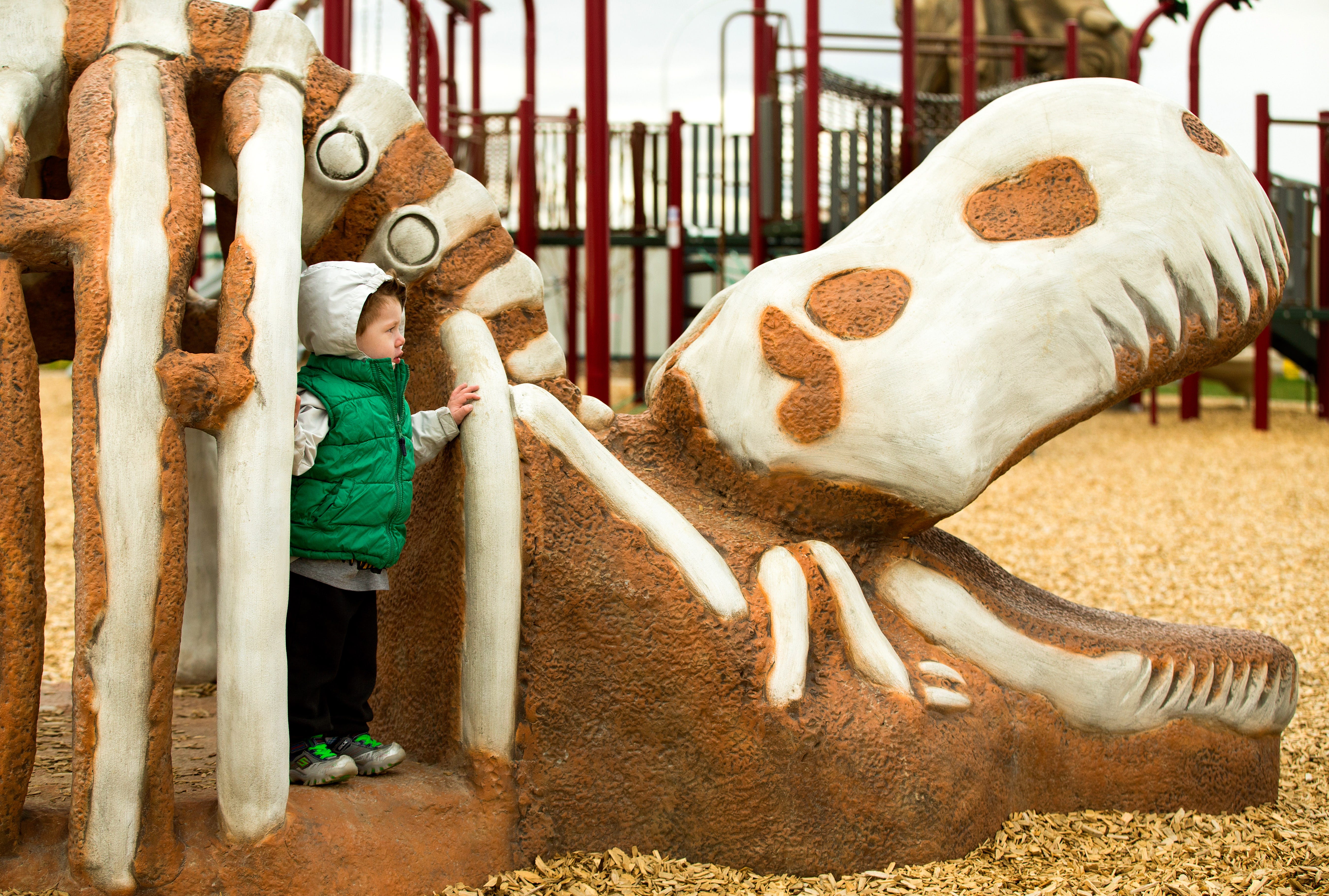 Meadowview Dinosaur Park